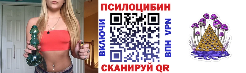 Галлюциногенные грибы Psilocybine cubensis  магазин  наркотиков  Щёкино 